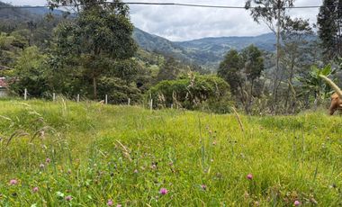 Se Vende Lote Gama, Cundinamarca.