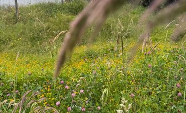 Se Vende Lote Gama, Cundinamarca.