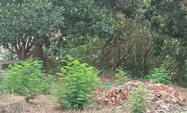 Tanah Murah 4000-an m² Dekat Pintu Tol Narogong Bekasi Bogor