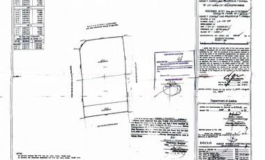 For SALE Commercial Corner Lot on D Tuazon corner G Roxas and one lot to Del Monte 459.42 sqm
