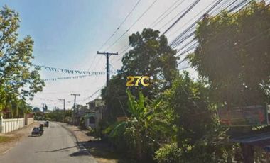 Residential and Farm Lot for Sale in Nueva Ecija