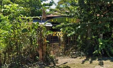 Residential and Farm Lot for Sale in Nueva Ecija