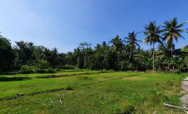 Tanah Strategis di Nanggulan Kulon Progo