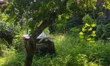 Tanah siap bangun cireundeu dekat uin nempel lebak bulus