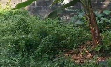 Tanah siap bangun cireundeu dekat uin nempel lebak bulus