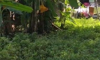 Tanah siap bangun cireundeu dekat uin nempel lebak bulus