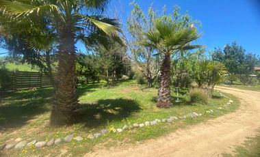 Linda Gran parcela 5000 m2, 298 construídos, 7 D, 5 b. Gran living comedor y cocina- Chimenea y bosca