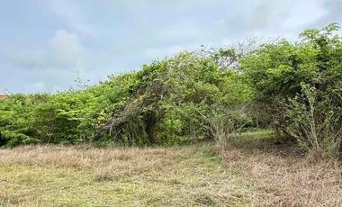 Dijual Tanah Belakang Poltekpar Kampial Bali