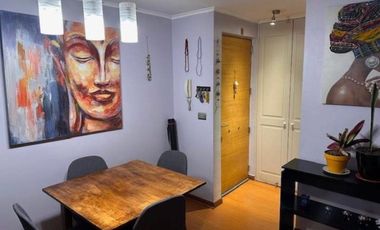 DEPRATMENTO 2D 2B EST. Y BODEGA METRO MANUEL MONT.PROVIDENCIA