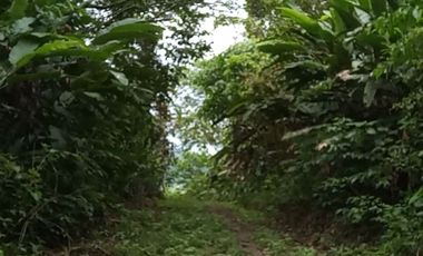 4 Ha para inversión