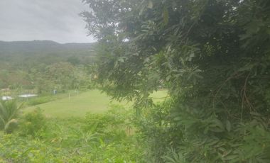 4 Ha para inversión