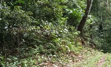 4 Ha para inversión