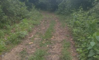 4 Ha para inversión