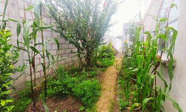 Casa de Una Planta de 162 m2, Independiente, con Terreno de 450 m2, en Venta, Dentro de Guayllabamba.