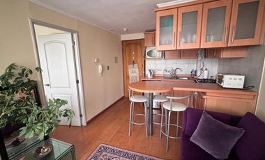 Arrendamos Lindo Y Luminoso Departamento 1 Dormitorio Amoblado Sector Av. Alemania Temuco.