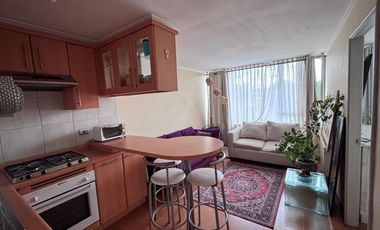 Arrendamos Lindo Y Luminoso Departamento 1 Dormitorio Amoblado Sector Av. Alemania Temuco.