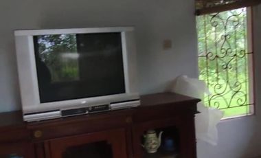 Rumah Villa 7634 m2 Sawah Kebun Manggis dan Durian Dijual Murah