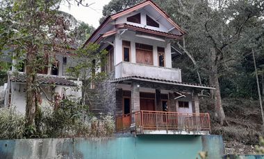 Rumah Villa 7634 m2 Sawah Kebun Manggis dan Durian Dijual Murah