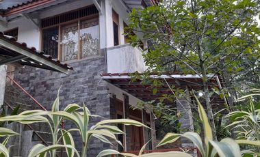 Rumah Villa 7634 m2 Sawah Kebun Manggis dan Durian Dijual Murah