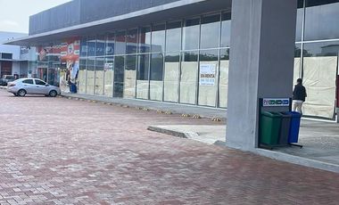 Locales de Alquiler en la Av. León Febres Cordero