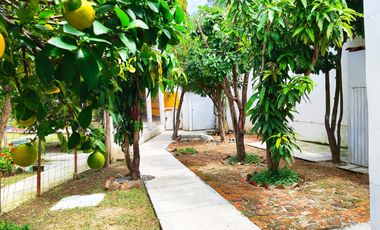 Quinta en venta con casa campestre, alberca, jardín y huerto en Tonalá, Jalisco