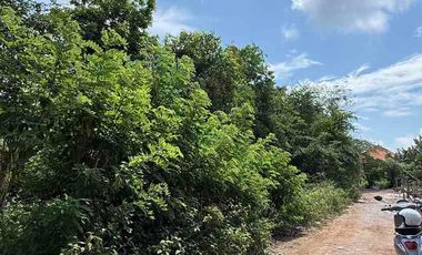 Dijual Murah Tanah di Nusa Dua Bali