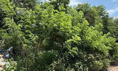 Dijual Murah Tanah di Nusa Dua Bali