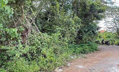Dijual Murah Tanah di Nusa Dua Bali