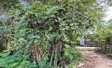 Dijual Murah Tanah di Nusa Dua Bali