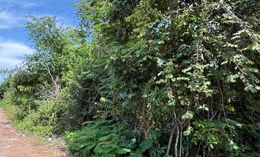 Dijual Murah Tanah di Nusa Dua Bali