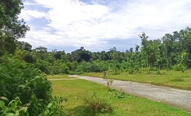 SIAP BANGUN! Dekat UNY Wates, Rumas Klasik Type 65