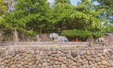 Rumah Villa di Nagrak Subang Fasilitas lengkap, ideal untuk keluarga besar