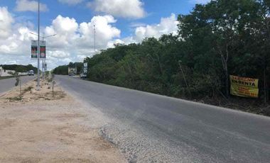 terreno en renta Playa del Carmen 340 m2 sobre carretera