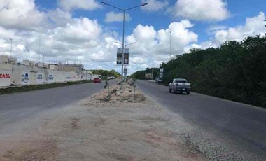 terreno en renta Playa del Carmen 340 m2 sobre carretera
