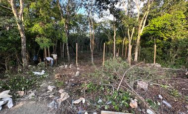 terreno en renta Playa del Carmen 340 m2 sobre carretera