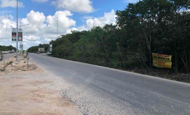 terreno en renta Playa del Carmen 340 m2 sobre carretera
