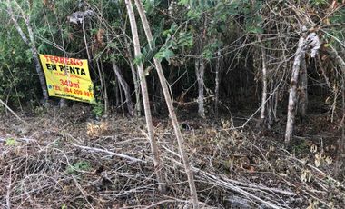 terreno en renta Playa del Carmen 340 m2 sobre carretera