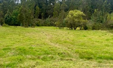 TERRENOS contiguos EN VENTA en el sector Playa de Machángara