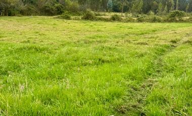 TERRENOS contiguos EN VENTA en el sector Playa de Machángara