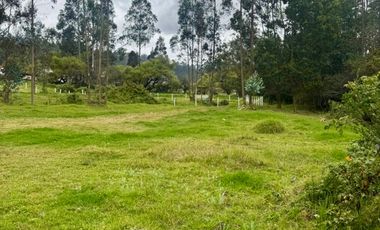 TERRENOS contiguos EN VENTA en el sector Playa de Machángara