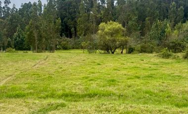 TERRENOS contiguos EN VENTA en el sector Playa de Machángara