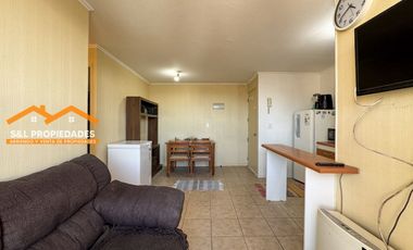 Arriendo Departamento Amoblado 3 Dormitorios Alto La Paloma 2