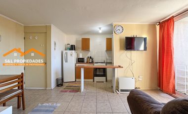 Arriendo Departamento Amoblado 3 Dormitorios Alto La Paloma 2