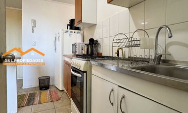 Arriendo Departamento Amoblado 3 Dormitorios Alto La Paloma 2