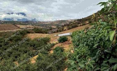 De Venta finca de  2 hectáreas con 6000 mts2 de terreno con agua de riego