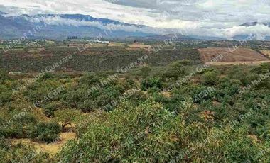 De Venta finca de  2 hectáreas con 6000 mts2 de terreno con agua de riego
