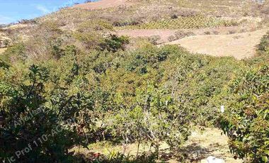 De Venta finca de  2 hectáreas con 6000 mts2 de terreno con agua de riego