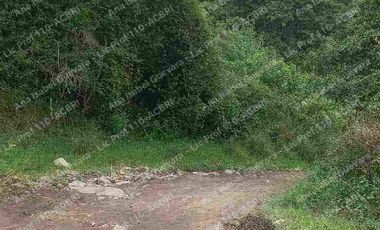 De Venta finca de  2 hectáreas con 6000 mts2 de terreno con agua de riego