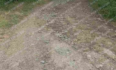 De Venta finca de  2 hectáreas con 6000 mts2 de terreno con agua de riego