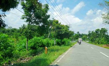 DIJUAL TANAH INDUSTRI 22HA, PURWOREJO, JAWA TENGAH. INDUSTRIAL LAND FOR SALE ( FOR WAREHOUSE/ FACTORY), CENTRAL JAVA